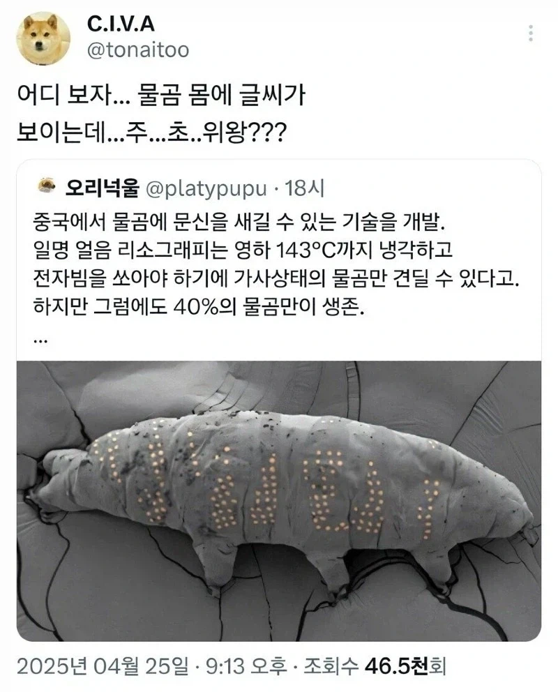 중국,