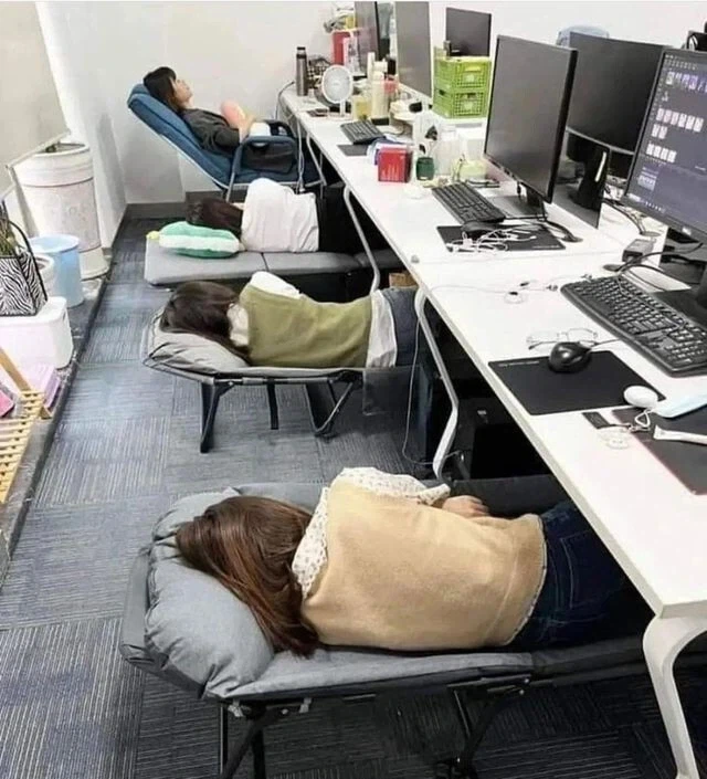 호호 갈리는 회사복지_1.webp