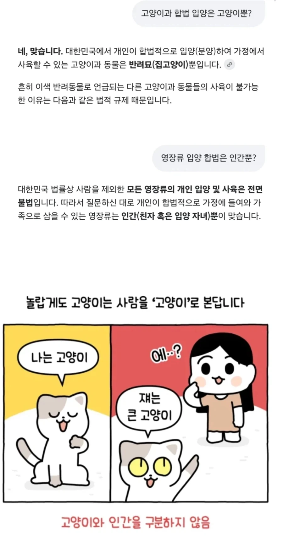 고양이과, 영장류 유일 입양 동물.jpg_1.webp