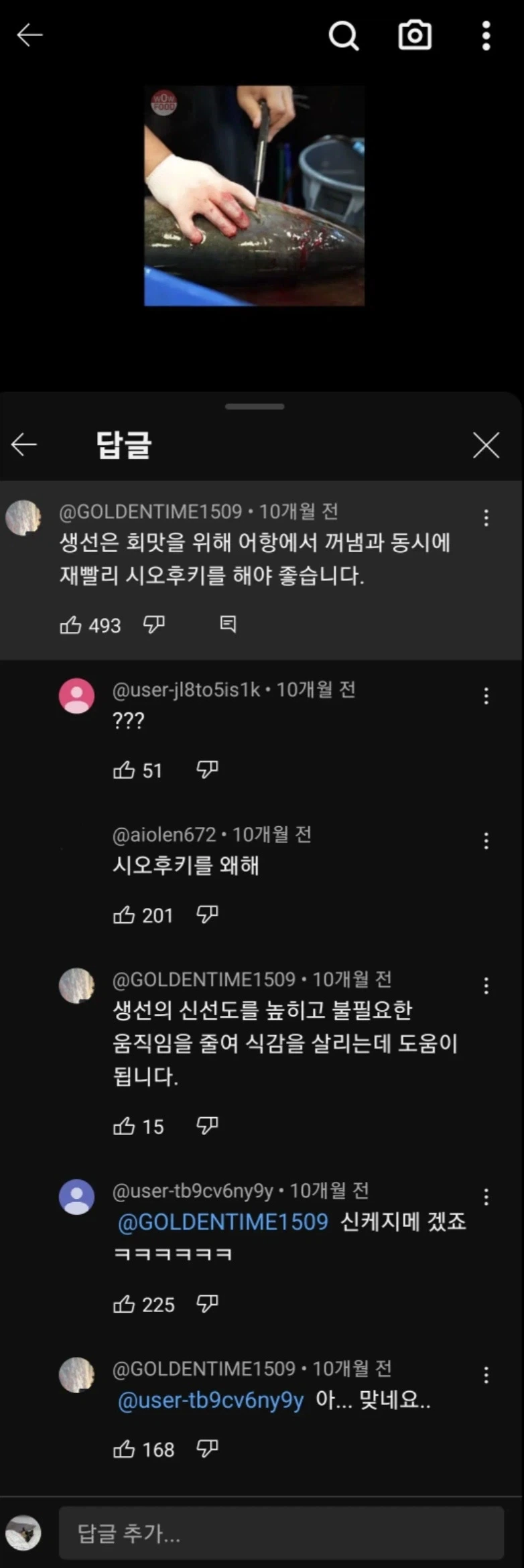 생선한테 해주면 좋은거_1.webp