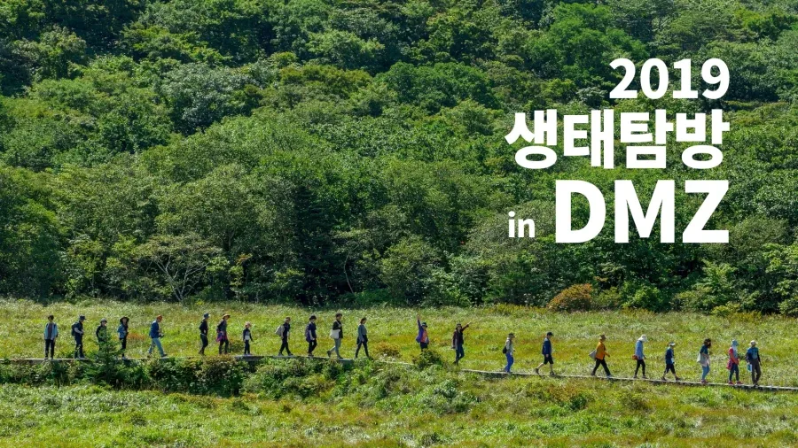 사실 남한의 녹화사업의 결정적 성공요인이