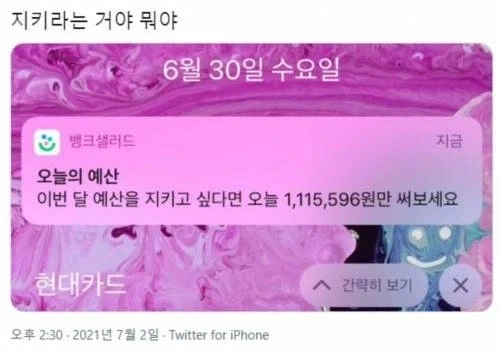 지키라는 거야 뭐야.jpg_1.webp