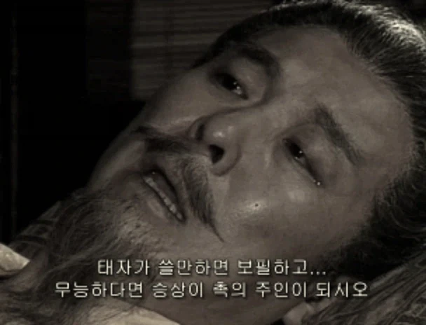 선대의 유언을 잘 들은 사마의와 씹어버린 제갈량_2.webp