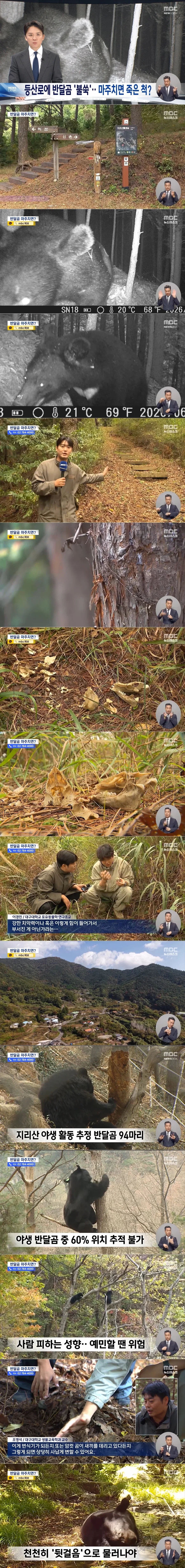 지리산 등산로 15m 옆에서 곰이 찍혔다네..._1.webp