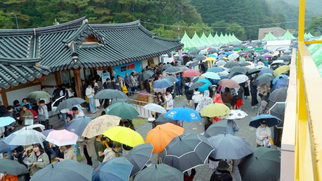 태풍 뚫고 17만 명 몰렸다...김천김밥축제, 전국구 축제로 도약