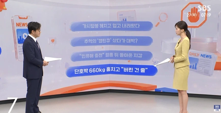 단호박 660키로를 훔친사람들의 무죄를 주장한이유_1.webp