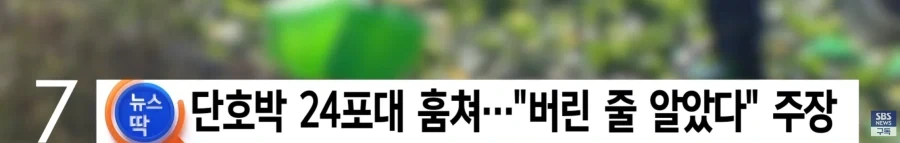 단호박 660키로를 훔친사람들의 무죄를 주장한이유_2.webp