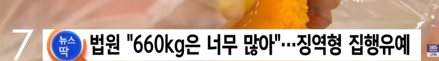 단호박 660키로를 훔친사람들의 무죄를 주장한이유_3.webp
