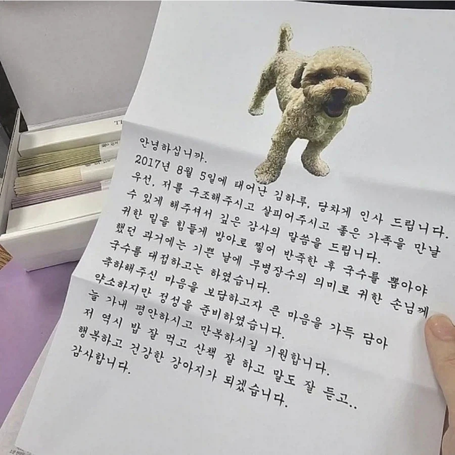 입양 보낸 강아지에게서 온 편지_1.webp