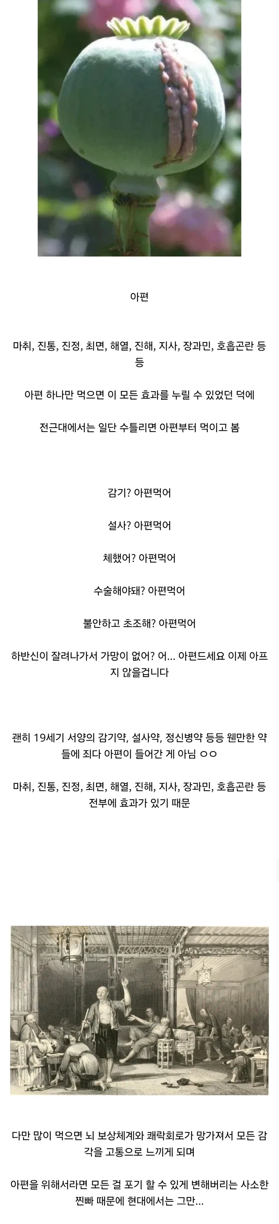 전근대에서 만병통치약이었던 것...jpg_1.webp