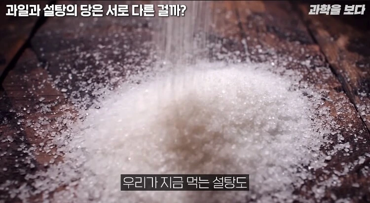 탄산음료 액상과당이 몸에 안좋은이유_2.jpg