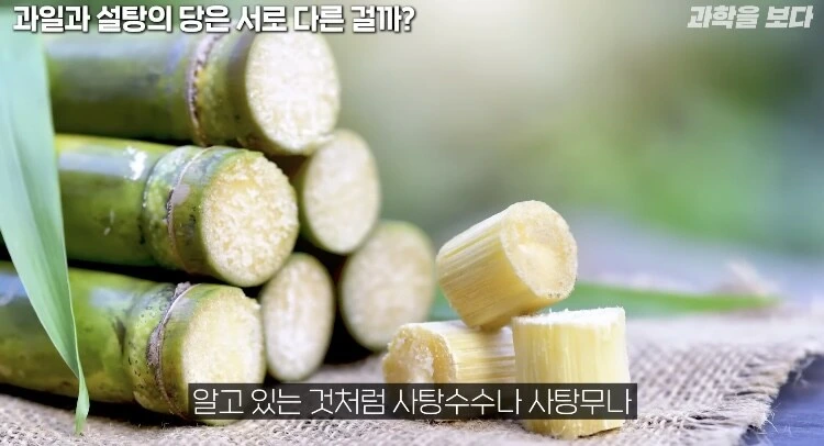 탄산음료 액상과당이 몸에 안좋은이유_4.jpg