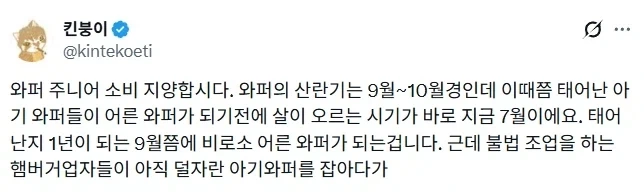 지금 버거킹 버거 맛이 없을수밖에 없음_1.webp