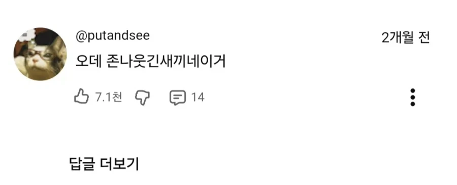 치이카와) 어떤 캐릭터를 완벽하게 요약하는 댓글.jpg_3.webp