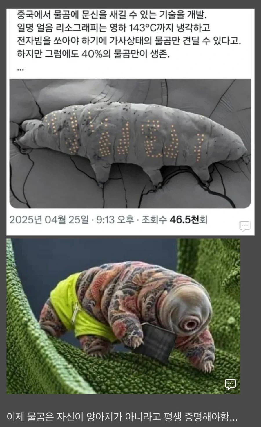 이젠 물곰도 평생 증명하고 살아야 함 ㄷㄷ;;.jpg_1.webp