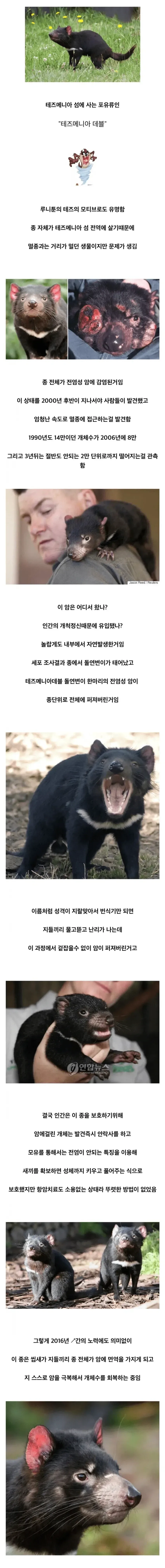 알쏭달쏭 멸종위기를 극복한 방법_1.webp