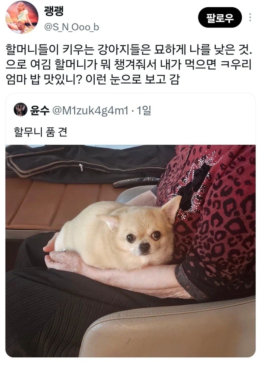 묘하게 나를 낮은 것으로 보는 존재.x_1.webp