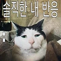 치이카와) 극장판 그 장면을 보고 귀엽다고 하는 유저.jpg_3.webp