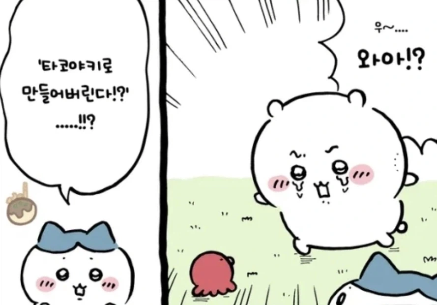 치이카와)사실 치이는 확실하게 치이어로 말를 하고있다_1.webp