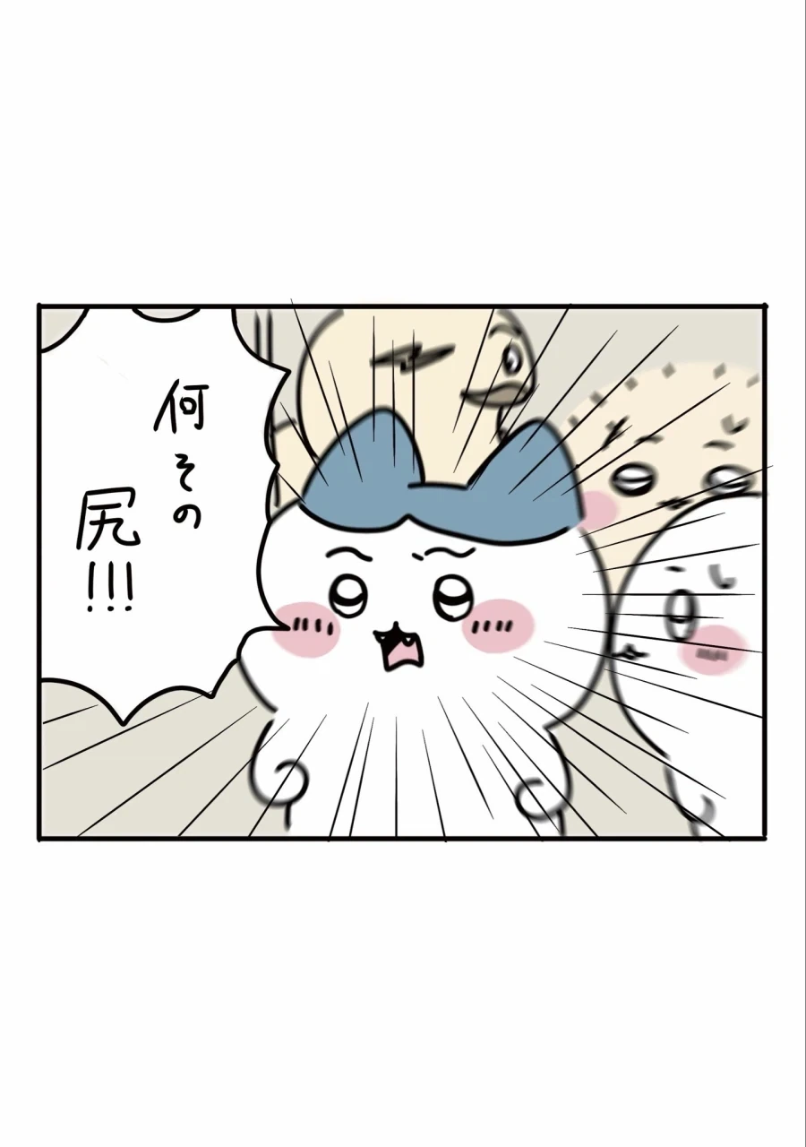 치이카와)만일 하치와레가 봤다면_2.webp