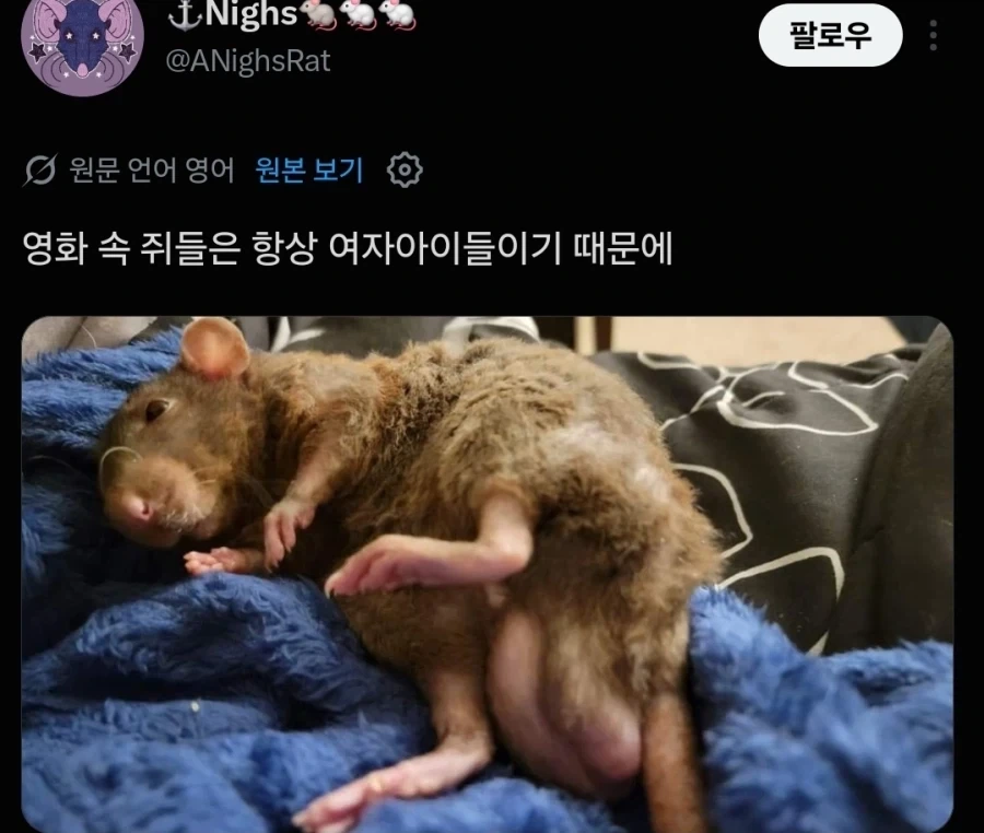 영화 촬영때 성별 제한을 두는 이유.jpg_2.webp