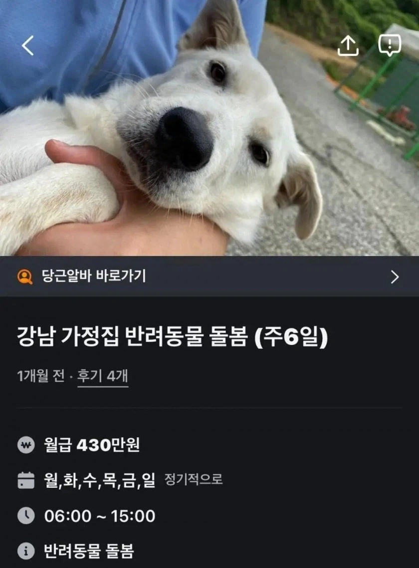 강남 당근 알바_1.webp