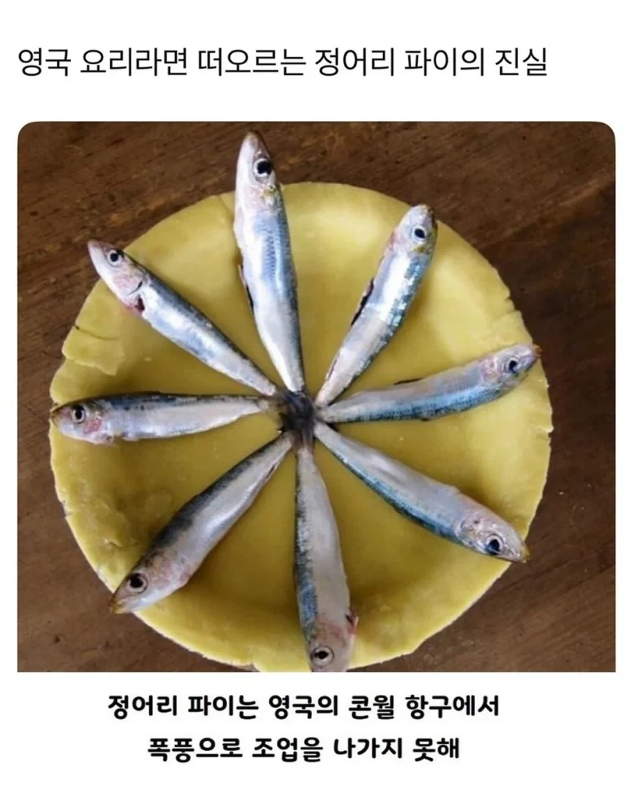 영국 요리 정어리 파이의 진실.jpg_1.webp