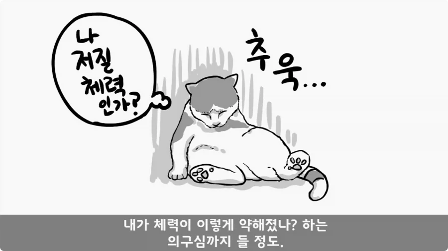 육군 사고사례집에 이름을 남긴 전설의 소위.jpg_17.webp