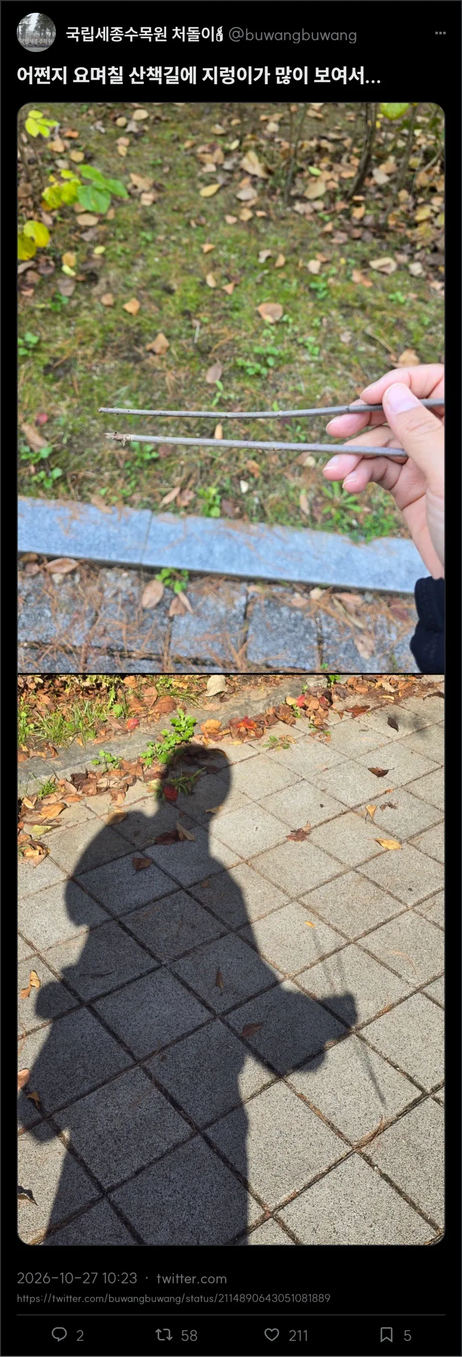 젓가락 들고 지렁이 찾는 사람_1.webp