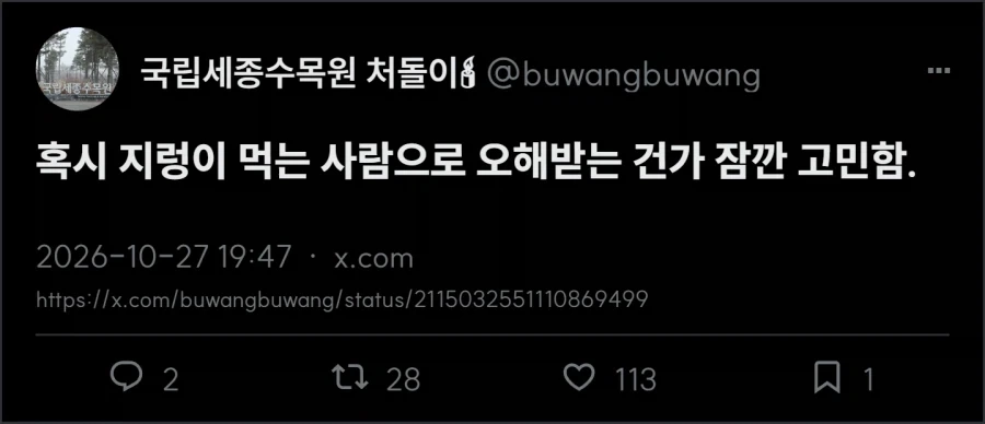 젓가락 들고 지렁이 찾는 사람_2.webp