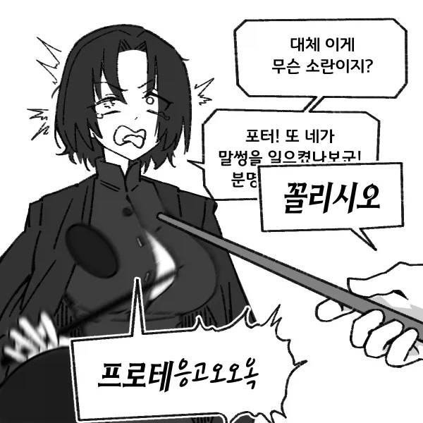 해리포터와 TS의 돌_4.webp