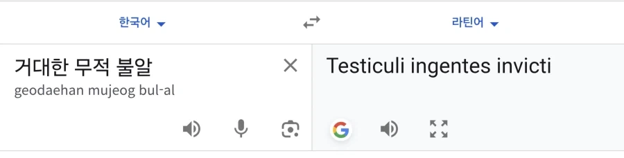 모든 언어는 라틴어로 변환하면 간지나게 변한다_1.webp