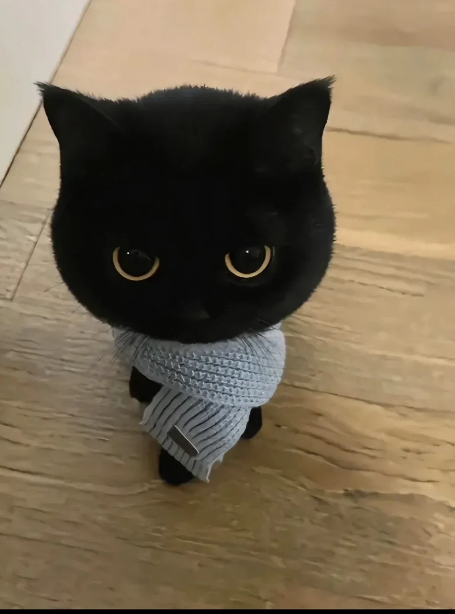 그러니까 애가 고양이고 애가 부엉이 맞죠?_2.webp