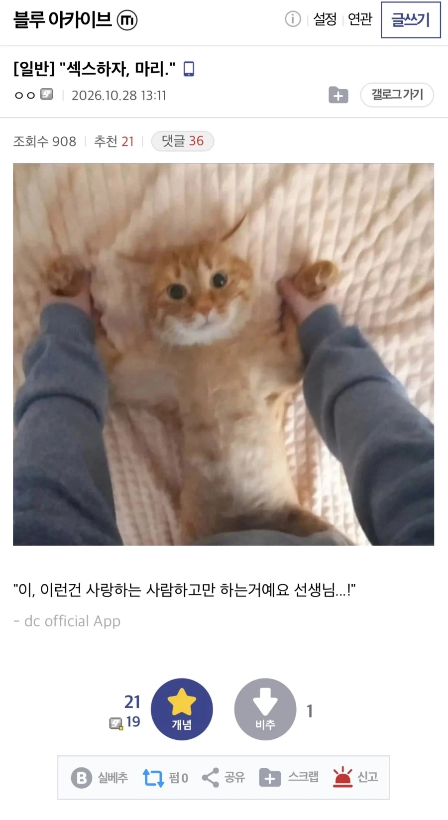 “ㅅㅅ하자“_1.webp