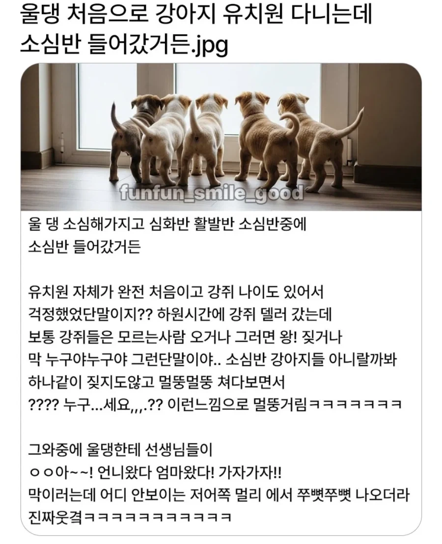 강아지 유치원 소심반.JPG_1.webp