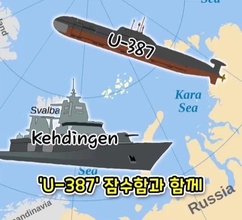 짐승 때문에 실패한 나치독일의 작전.jpg_3.webp