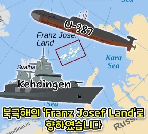 짐승 때문에 실패한 나치독일의 작전.jpg_4.webp