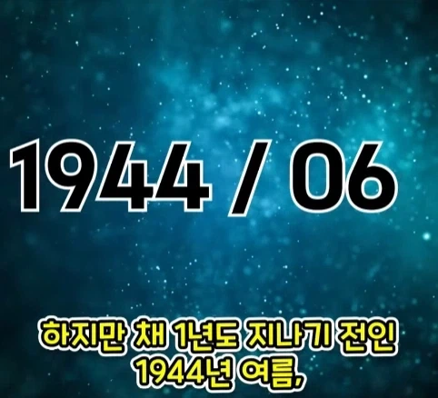 짐승 때문에 실패한 나치독일의 작전.jpg_11.webp
