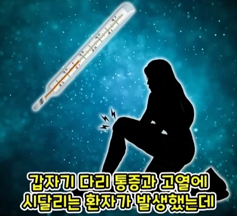 짐승 때문에 실패한 나치독일의 작전.jpg_12.webp