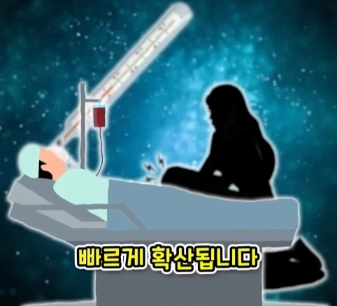 짐승 때문에 실패한 나치독일의 작전.jpg_14.webp