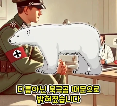 짐승 때문에 실패한 나치독일의 작전.jpg_17.webp