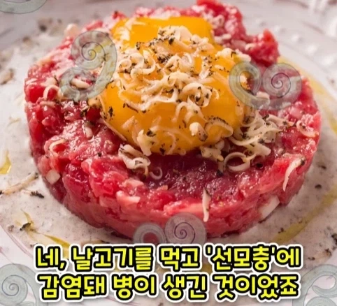 짐승 때문에 실패한 나치독일의 작전.jpg_21.webp