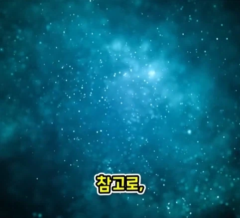 짐승 때문에 실패한 나치독일의 작전.jpg_24.webp
