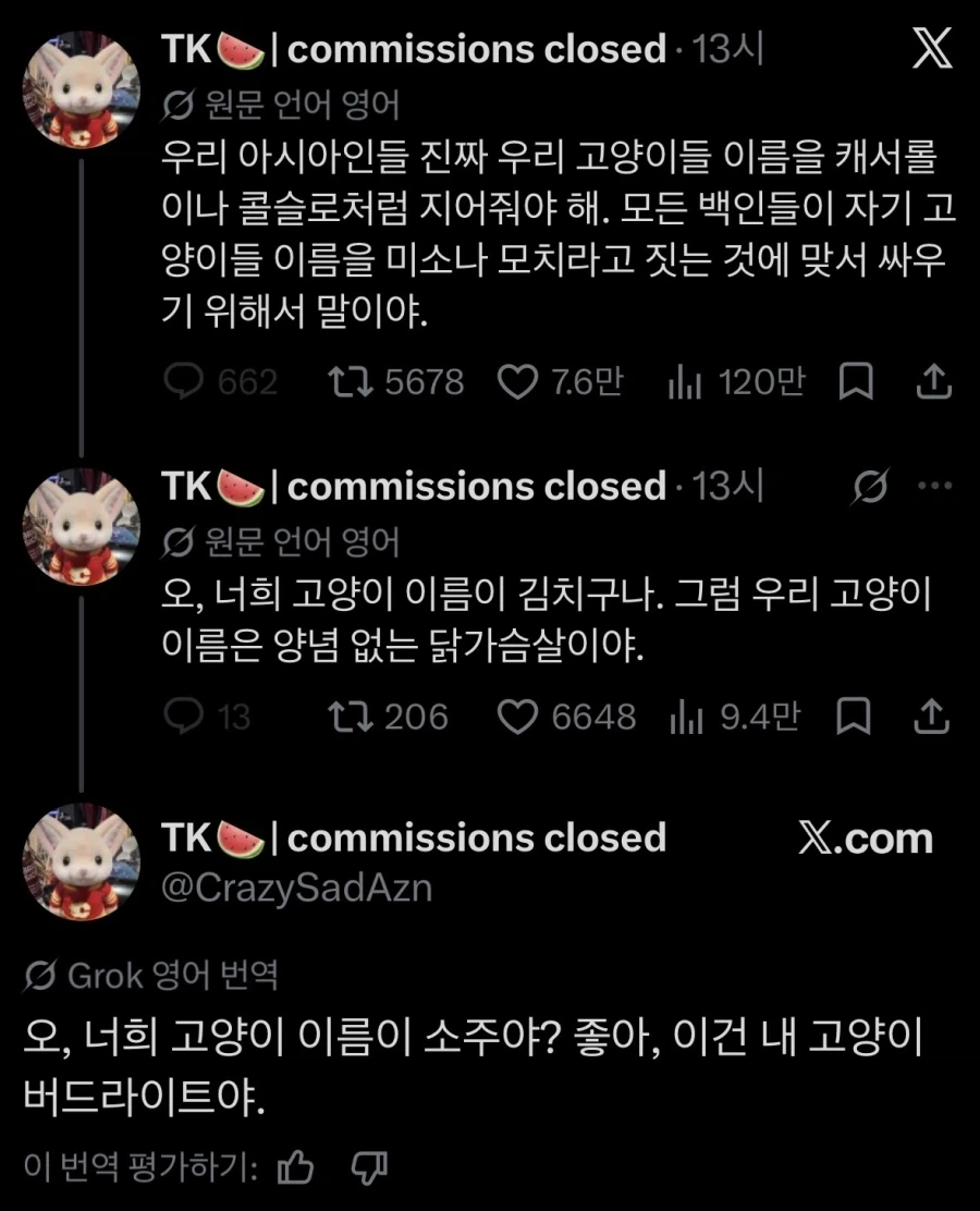 동양인들 고양이 이름을 양식으로 지어야 하는 이유_1.webp