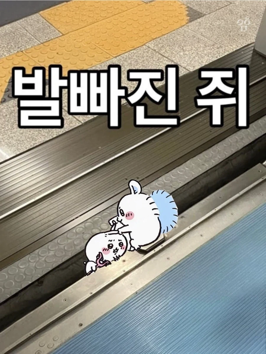 치이카와) 발 빠진 쥐._1.webp