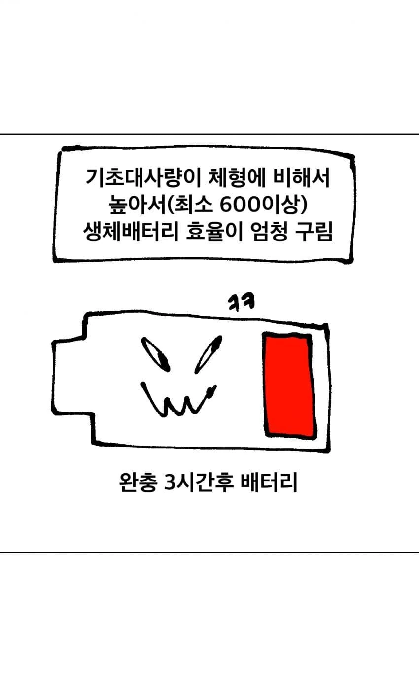 멸치인간 식습관 패턴 만화.manwha_4.jpg
