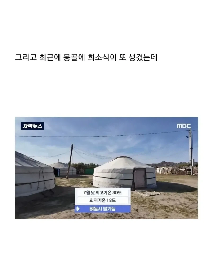 몽골이 한국을 좋아하는 이유.jpg_9.webp