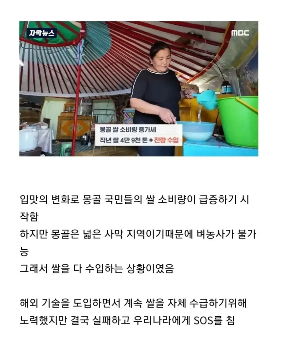 몽골이 한국을 좋아하는 이유.jpg_10.webp