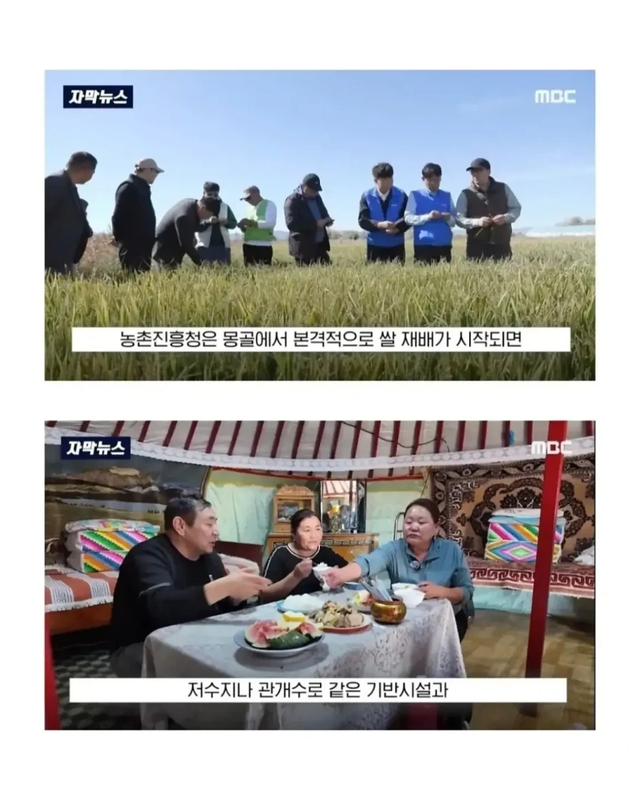 몽골이 한국을 좋아하는 이유.jpg_12.webp