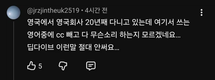 판교 사투리에 대한 교포들의 지적 댓 ㅋㅋ_5.webp